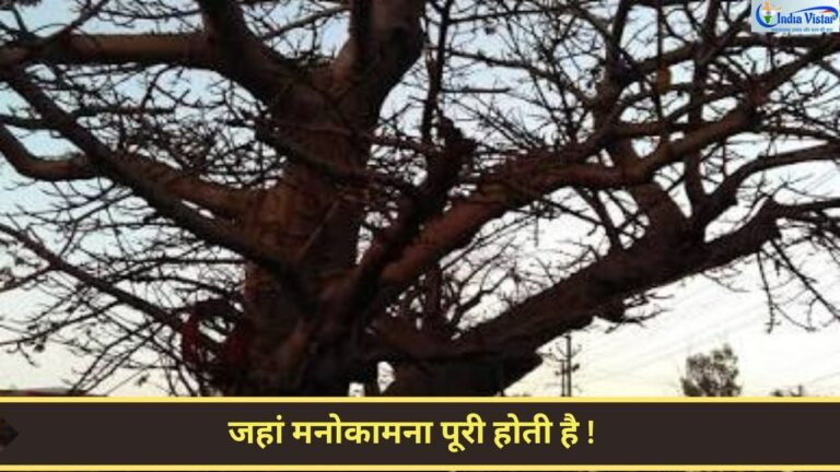 रांची के डोरंडा स्थित प्राचीन कल्पवृक्ष