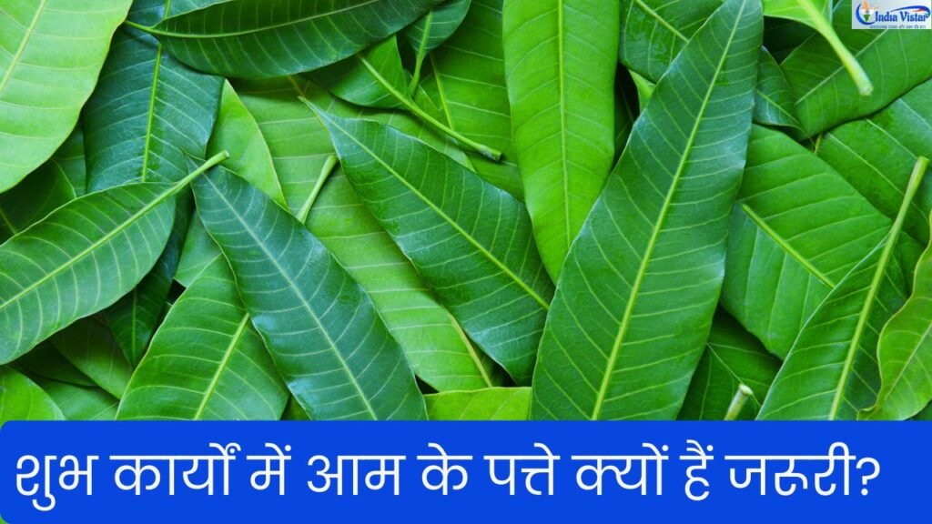 पूजा और कलश स्थापना में उपयोग किए गए आम के पत्ते