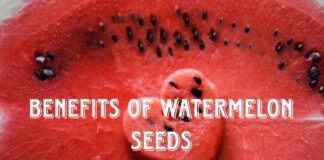 benefits of watermelon seeds