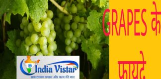 Grapes के फायदे