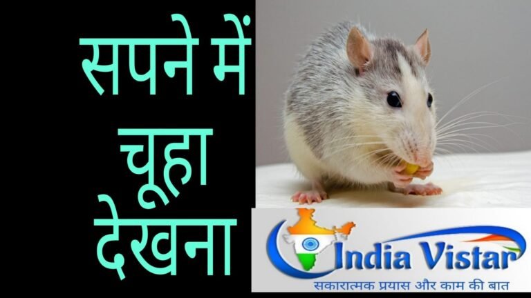 Sapne me chuha dekhna