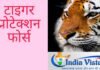 arunachal pradesh-चीन की सीमा से लगे गांवों में अब बाघ की सुरक्षा के लिए फोर्स की मंजूरी, सालों से था इंतजार arunachal pradesh