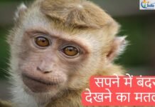 सपने में बंदर को भागते हुए देखना