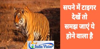 Sapne me tiger dekhna