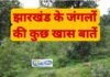 environment news-झारखंड के जंगलों की कुछ खास बातें जानिए एक खास शख्स की जुबानी environment news