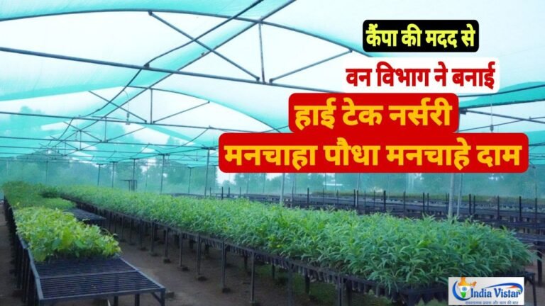 Jharkhand News update