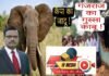 Jharkhand news-हाथियों के गुस्से पर काबू पाने में इस तरह काम आ रही है सरकार की कैंपा परियोजना Jharkhand News