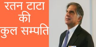 ratan tata net worth