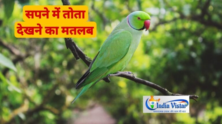 sapne me tota dekhna