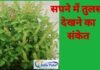 Sapne me tulsi dekhna-सपने में दिखे तुलसी तो इस अच्छे संकेत के साथ ये सब भी हैं इस सपने का मतलब sapne me tulsi dekhna