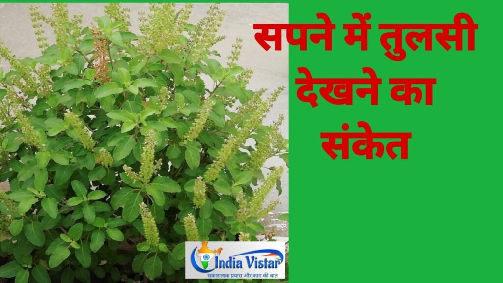 sapne me tulsi dekhna