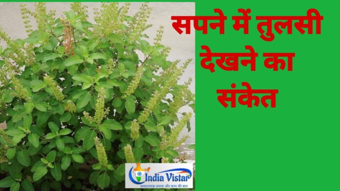 sapne me tulsi dekhna