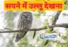 sapne me ullu dekhna-सपने में उल्लू का दिखाई देना शुभ है या अशुभ जानिए विस्तार से sapne me ullu dekhna