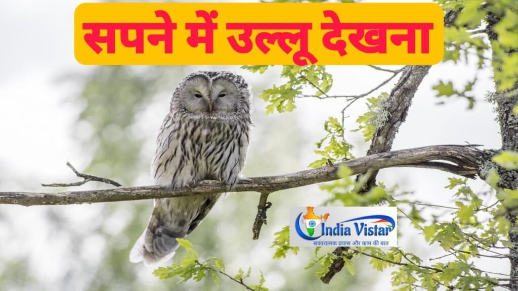 sapne me ullu dekhna
