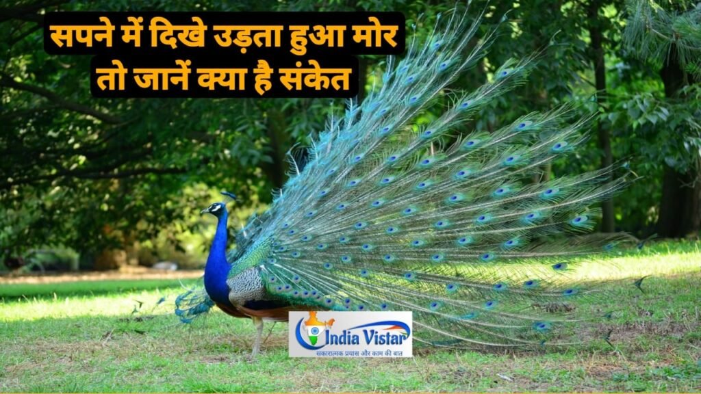 sapne me udta hua mor dekhna