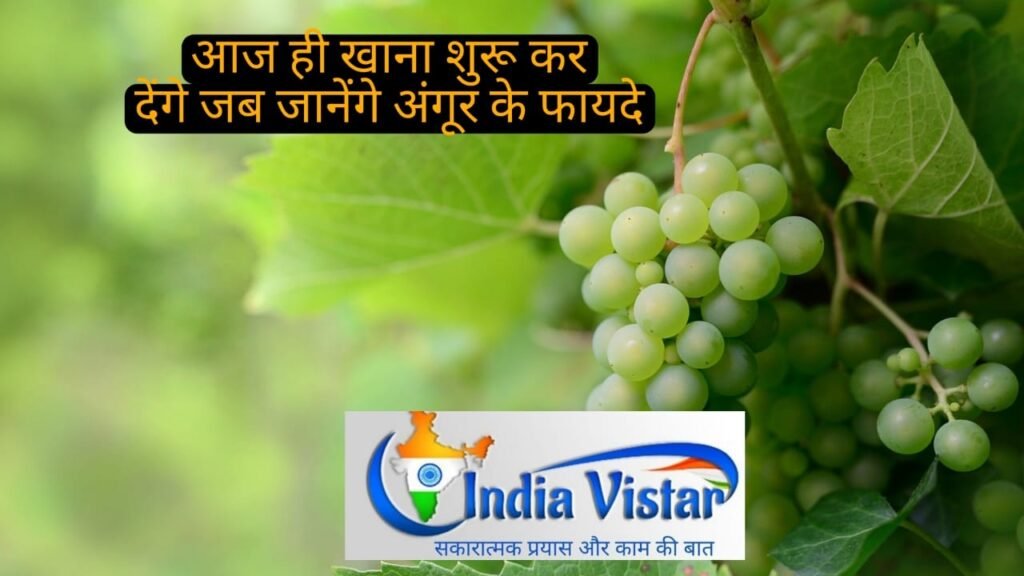 angur khane ke fayde