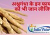 ashwagandha ke fayde-अश्वगंधा की थोड़ी मात्रा भी ढंग से लें तो कई बीमारियों में मिल सकता है लाभ ashwgandha ke fayede