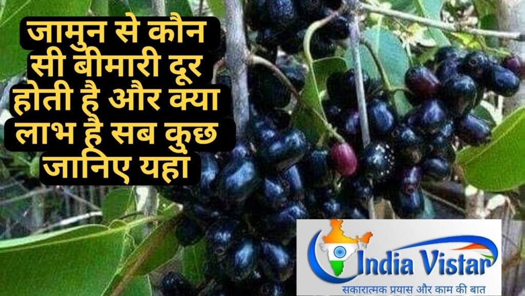 jamun ke fayde