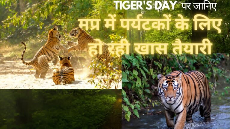 tiger's day