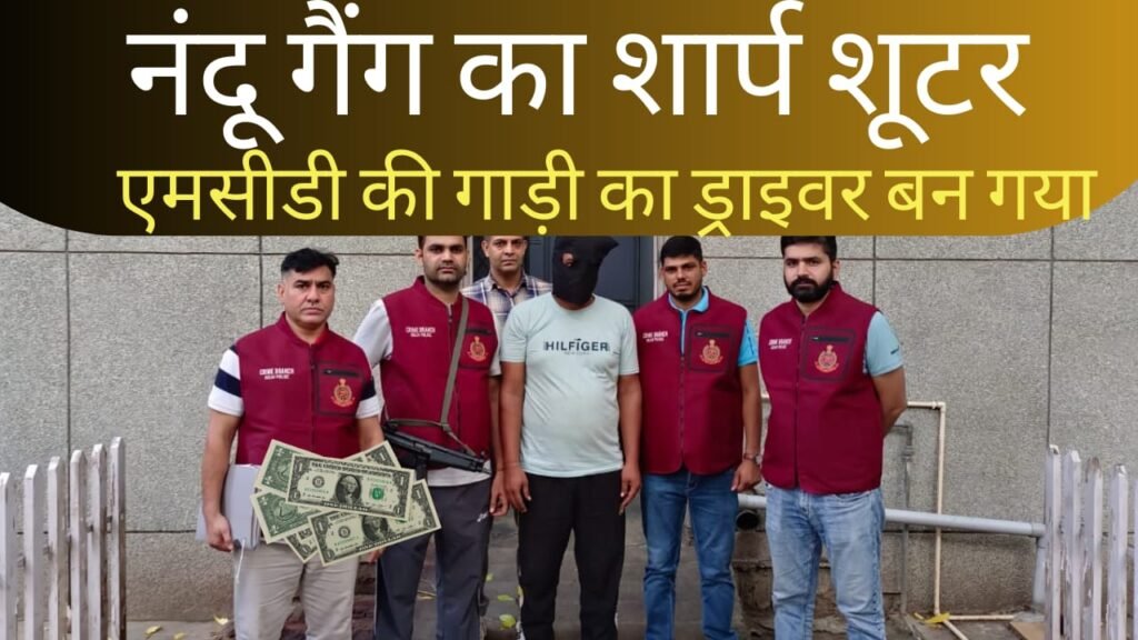 एमसाीडी