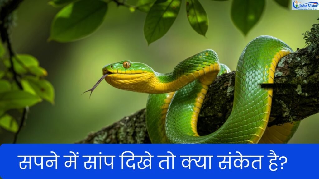 स्वप्न शास्त्र के अनुसार सपने में सांप देखने का अर्थ