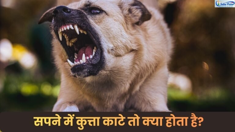 सपने में कुत्ता काटने का अर्थ और सपना शास्त्र के संकेत