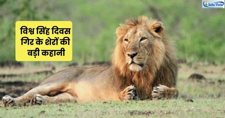 world lion day-विश्व सिंह दिवस 2026 पर गुजरात का एशियाई सिंह