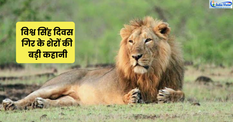 विश्व सिंह दिवस (world lion day) पर गुजरात का एशियाई सिंह